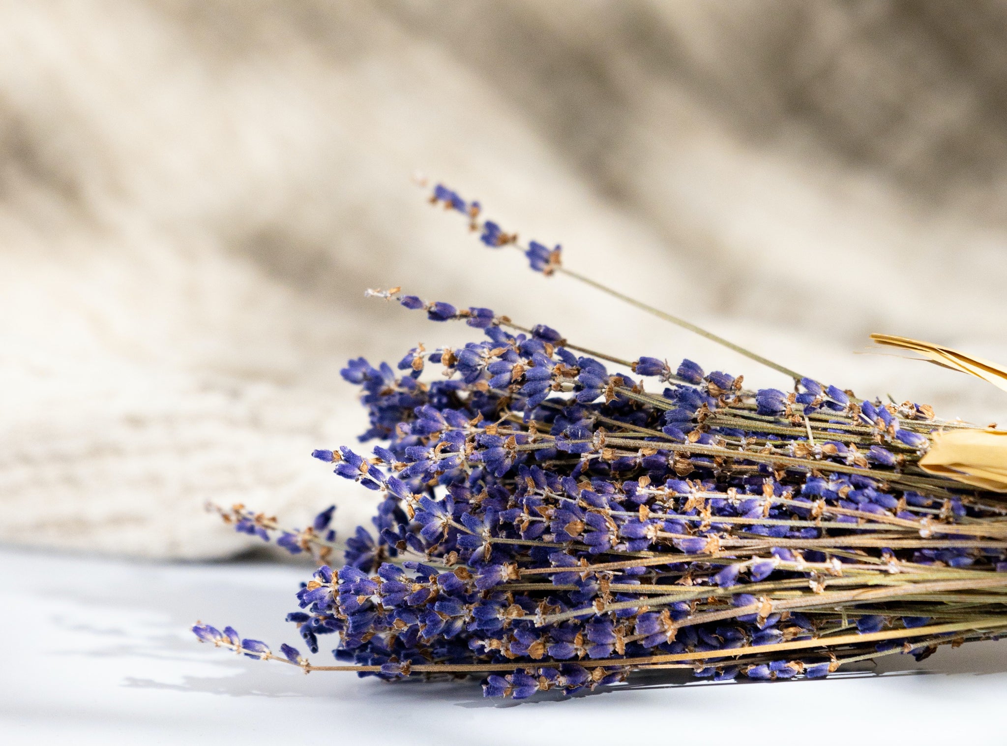 Lavender Tea Benefits: All You Need to Know