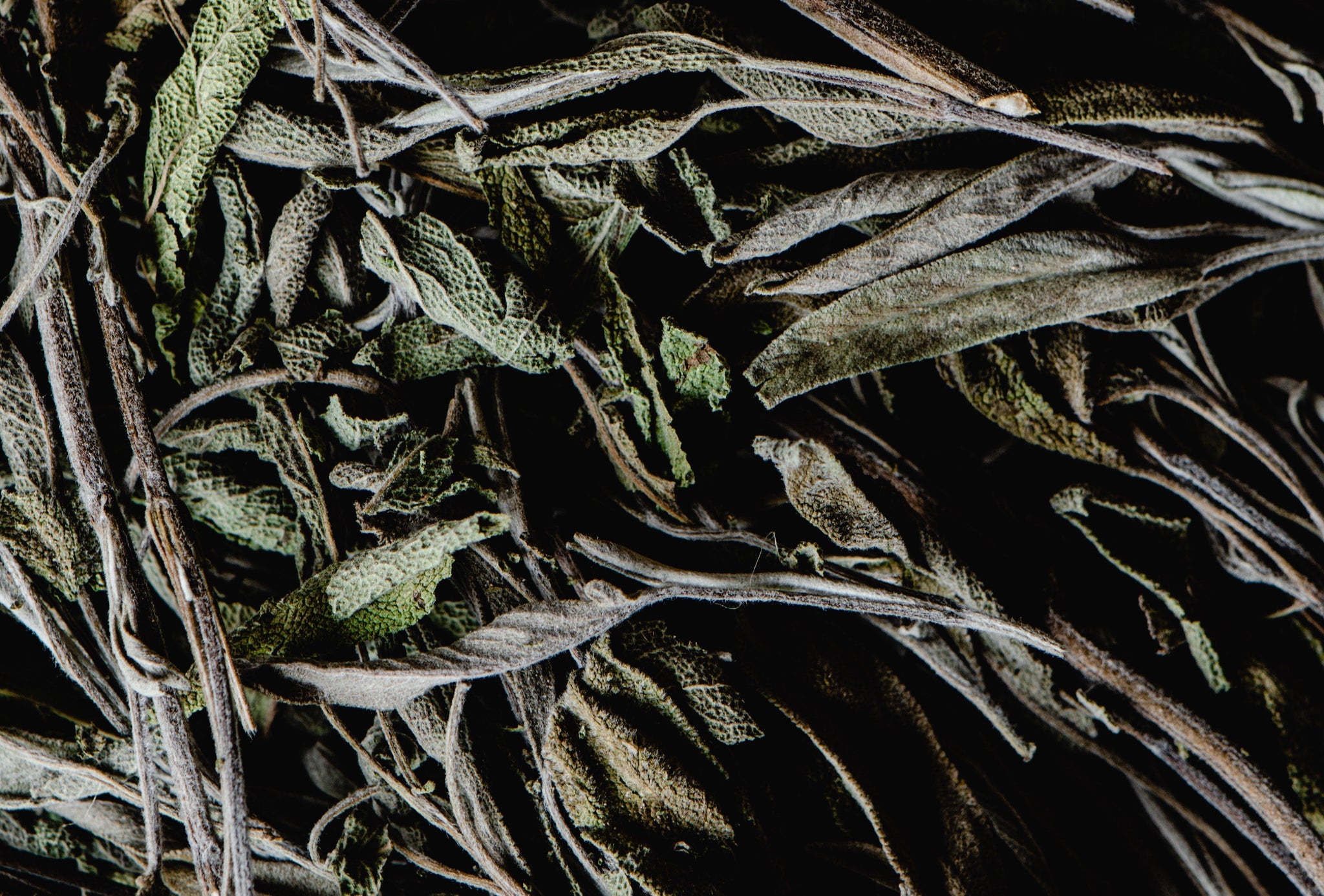 The Forgotten Herboristes: Why France Has No Herbalist License Today