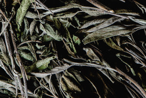 The Forgotten Herboristes: Why France Has No Herbalist License Today