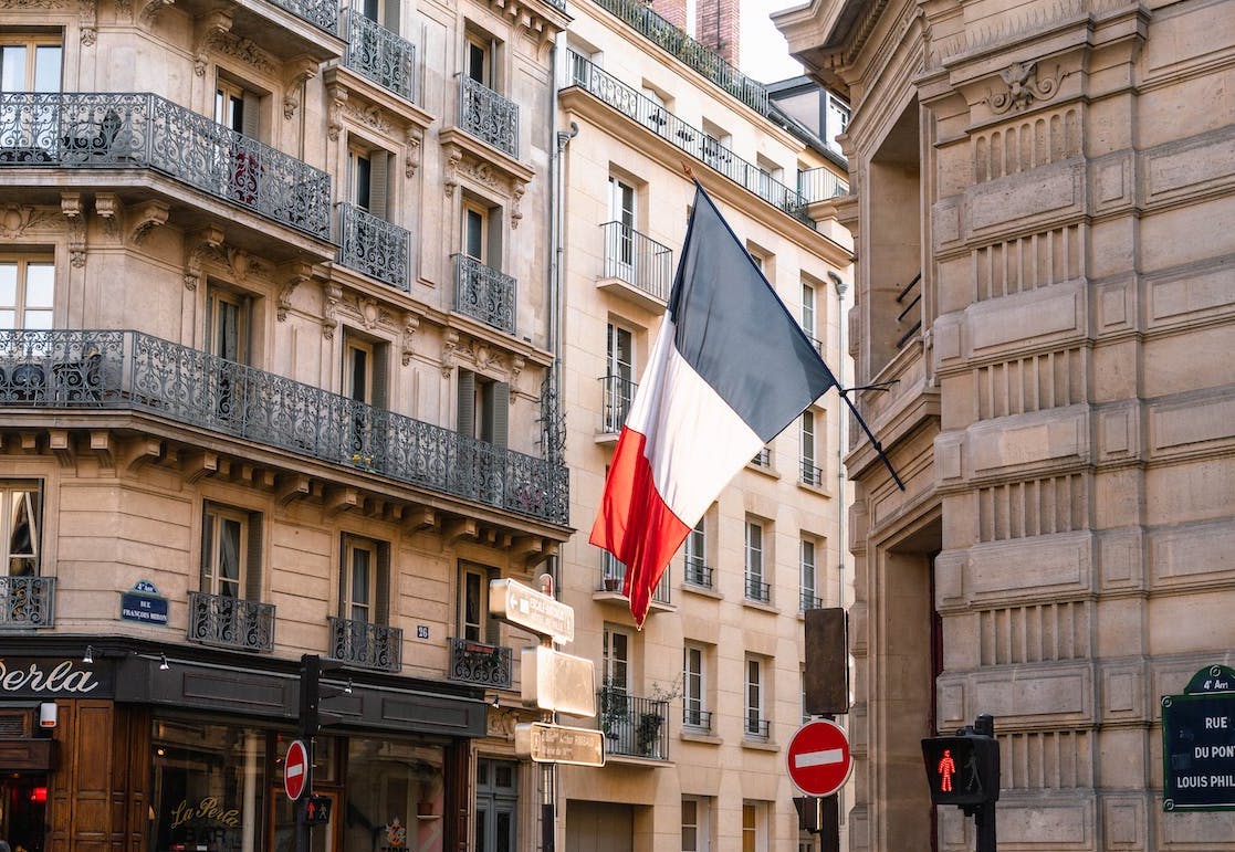 French Black Tea: Everything You Need to Know and What Makes It Special